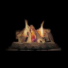 Heat Glo Campfire Gas Log Set
