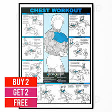 chest workout professional gym fitness