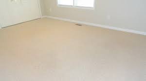 carpet cleaning greenville sc
