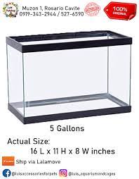 5 gallon fish tank empty aquarium