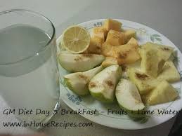 Testing Gm Diet Day 3 Vegetables And Fruits Indian Version