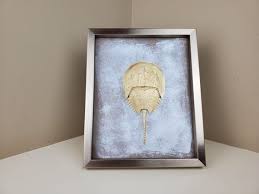 Any Color Horseshoe Crab Beach Decor In