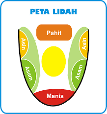 Pengecap Rasa Terbaru di Lidah Untuk ‘Deteksi’ Obesitas?