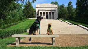 pet friendly mammoth cave your