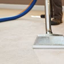 pasha carpet cleaning service request