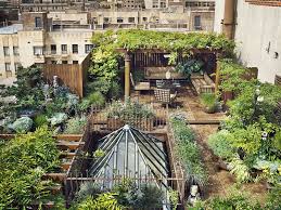 A Beautiful Simple Rooftop Garden