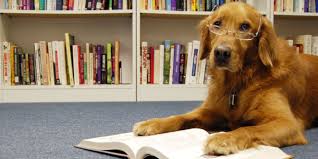 Image result for kids reading to shelter dogs