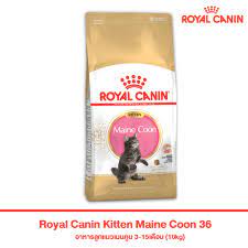 royal canin kitten maine 36 10kg