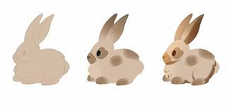 Voir plus d'idées sur le thème dessin lapin, lapin, dessin. Comment Dessiner Un Lapin Etape Par Etape Adobe