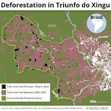 primary forest in brazilian protected area