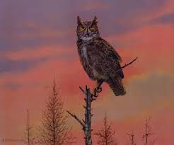 great horned owl edition 371 850