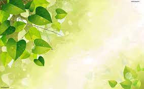 Green Vector Tree Leaves 高清晰度电视图 ...