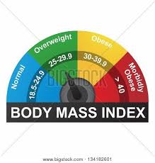 Bmi Body Mass Index Vector Photo Free Trial Bigstock