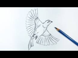 how to draw a flying bird step by step