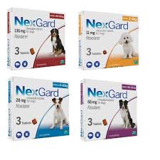 Nexgard Chewable Tablets For Dogs