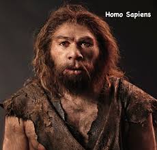 In realtà l'uomo di neanderthal era abbastanza simile agli esseri umani moderni. Uomo Di Neanderthal E Homo Sapiens
