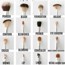 cosmetic makeup brush kit