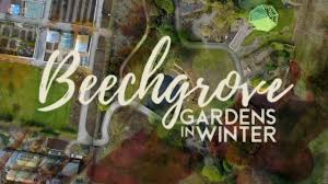 the beechgrove garden 2022 archives