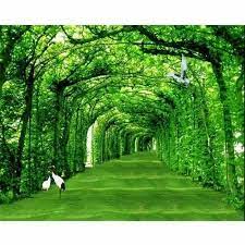 3d nature wallpaper at rs 80 square