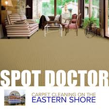 carpet cleaning in salisbury md