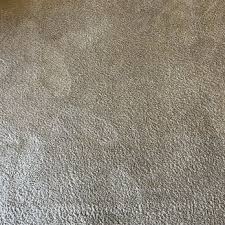 jim s steamer carpet cleaner 19