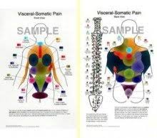 Visceral Somatic Pain Charts Science Prints Amazon Com