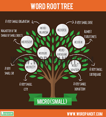 micro root word wordpandit