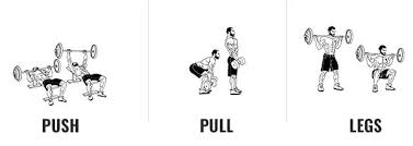 push pull legs split