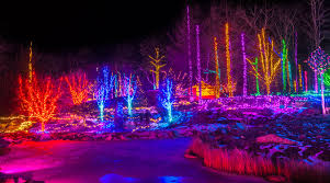 This Lighted Maine Winter Garden Walk