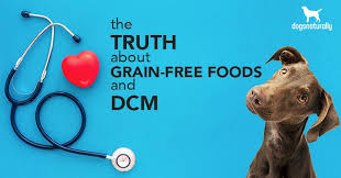 the truth about grain free dog foods