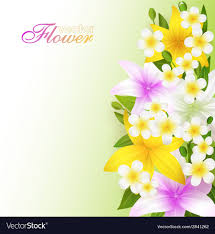 beautiful flowers background royalty