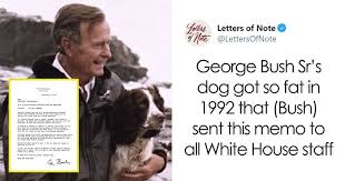 This meme usually consists of a picture of my dog got a haircut, and now it looks like he gave up drinking. George Bush Sr Once Wrote This Funny Memo To The White House Staff Regarding His Fat Dog Ranger Bored Panda