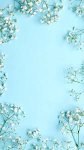 frame of baby s breath flowers
