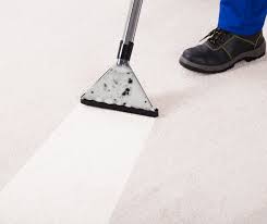 carpet cleaning 1st choice house