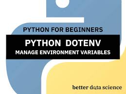 manage environment variables in python