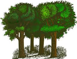 group of trees clip art at clker com