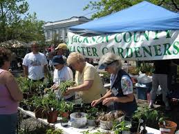 Masters Of Gardening Jackson County
