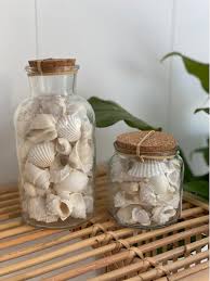 Shell Jar With Cork Lid Small Or Large
