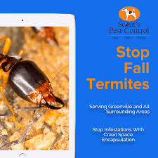 Looking for a pest control exterminator in greenville? Are Swarming Termites Active In The Fall Season