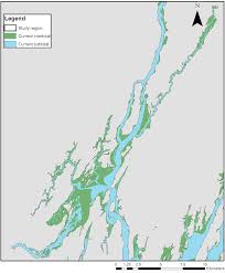 High Net Loss Of Intertidal Wetland Coverage In A Maine