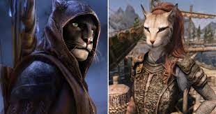 Skyrim: 10 Things You Didn't Know About Khajiit