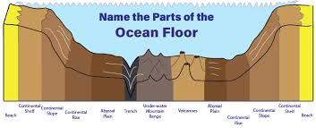 diagram of the ocean floor
