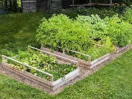 Raised Garden Bed