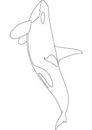 Color possum animals coloring pages. Orca Printable Coloring Pages Whale Coloring Pages Orca Art Orca Tattoo