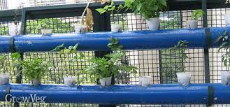 Grow An Edible Garden On Your Balcony