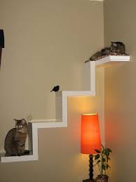 Just high quality modern cat furniture. Ikea Lack Shelf Made Into Cat Furniture Flickr Photo Sharing On Cat Furniture Cat Shelves Cat Room