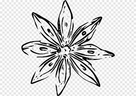 Nigella sativa (l., 1753, nota anche come cumino nero) è una pianta annuale appartenente alla famiglia delle ranunculaceae, originaria di balcani e medio oriente.da non confondere con il bunium persicum, anch'esso comunemente chiamato cumino nero. Fiore Contenuto Gratuito Disegni Di Fiori Semplici In Bianco E Nero Bianco E Nero Disegni Png Pngegg