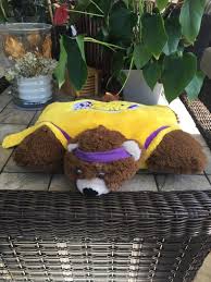 The other three teams are the brooklyn nets, the golden state warriors, and the new york knicks. Nba Basketball Los Angeles Lakers Sport Pillow Pets Mini Mascot Plush Small 13 1862816104