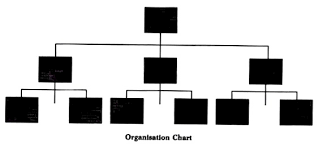 Organisation Chart Meaning Principle And Merits