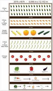 planning a vegetable garden layout for